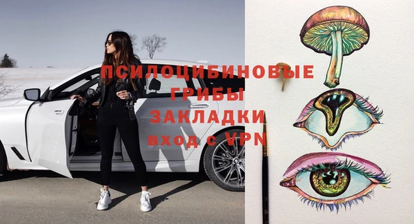 альфа пвп Няндома