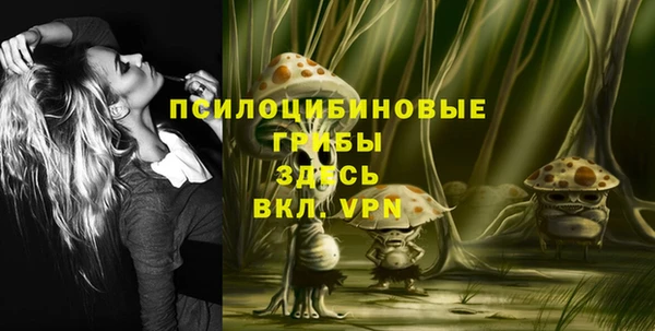 мескалин Новозыбков
